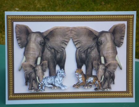 Jungle Animalmania by VALERIE BOYLE