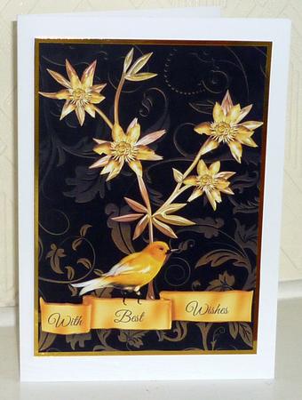 Black and Gold by VALERIE BOYLE