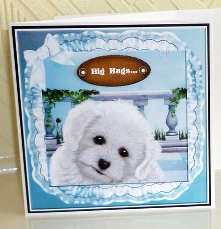 Cute Puppy Belated Birthday/other Occasion by VALERIE BOYLE