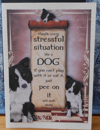 Handle Every Stressful Situation Like a Dog - border Collie by Valerie Cuthbertson