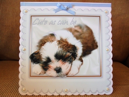 As Cute as Can Be, Puppy in a White Frame by Valerie ODonnell