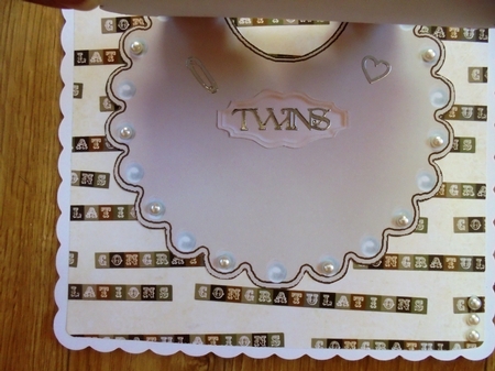 Gorgeous Little Beige Bears (twins) on Star Bib by Valerie ODonnell