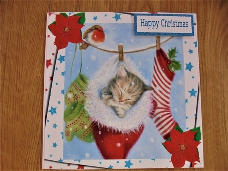Cute Kitty in Fluffy Hanging Santa Sock 8x8 by Valerie ODonnell
