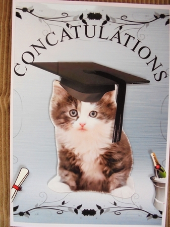 concatulations by Valerie ODonnell