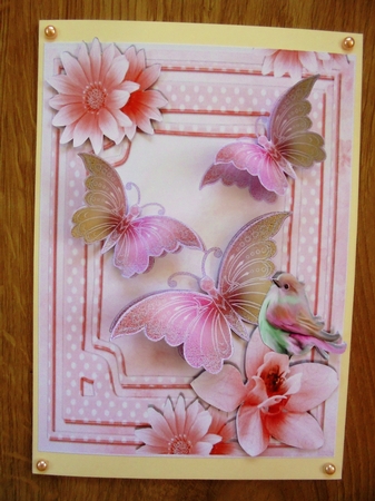 pretty peach butterflies, flowers & bird A5 by Valerie ODonnell