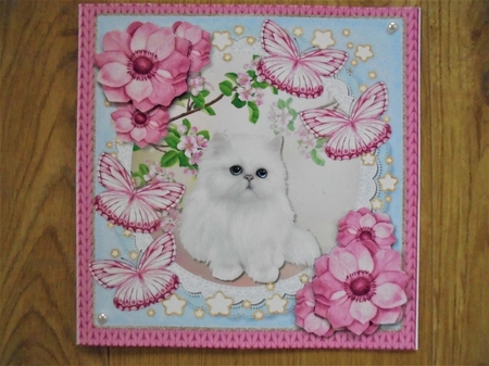 Cute White Kitten by Valerie ODonnell