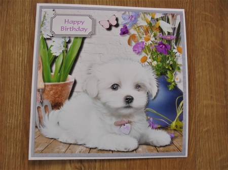 Faithful friend by Valerie ODonnell