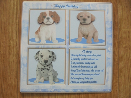 A dog by Valerie ODonnell