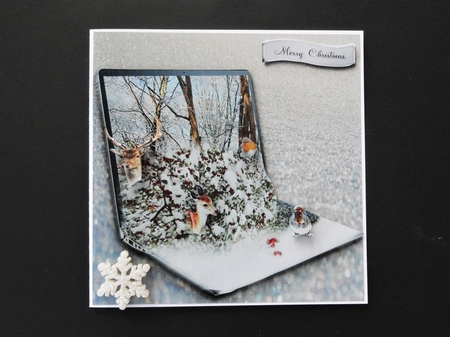 first snow by Valerie Spowart