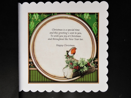 Christmas Robin 7x7 Insert Green by Valerie Spowart