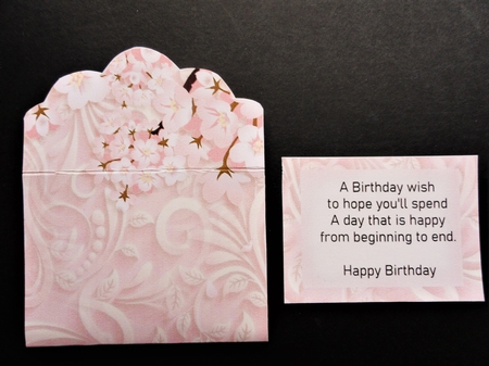 Tags Galore & Envelope with insert - Set 8 by Valerie Spowart
