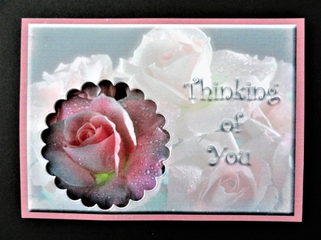 Peek-a-boo Roses in the Rain by Valerie Spowart