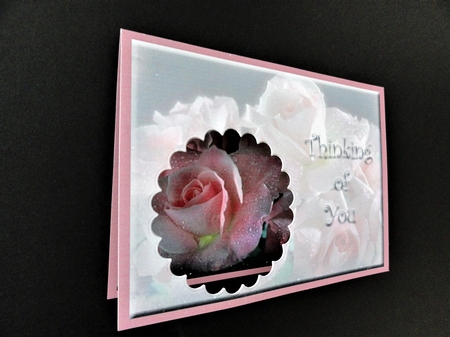 Peek-a-boo Roses in the Rain by Valerie Spowart