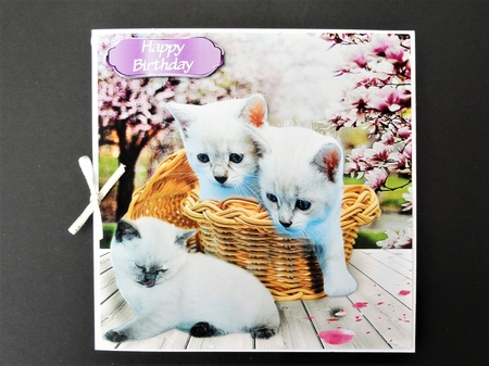 basket of kittens by Valerie Spowart