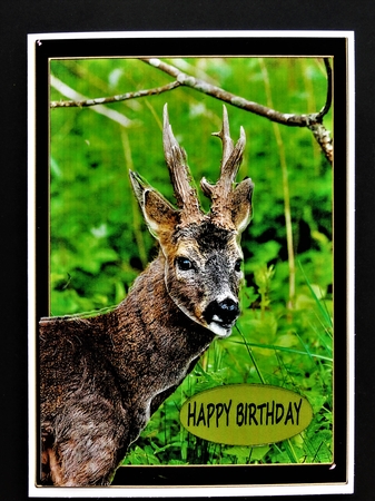 Deer Birthday or Retirement plus a blank tag by Valerie Spowart