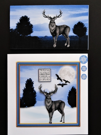 A Christmas deer wallet and step by step sheet by Valerie Spowart