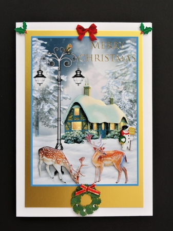 A SNOWY DAY by Valerie Spowart