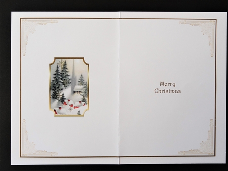 Christmas Winter Scene Insert  by Valerie Spowart