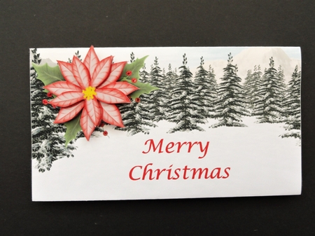 Christmas Money Wallet 1 by Valerie Spowart