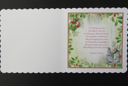 The Robins Winter Garden Blank Insert by Valerie Spowart