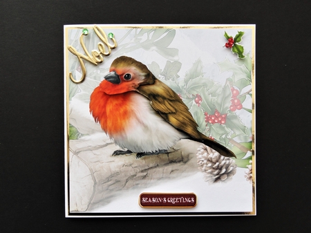 Snowy Robin 8x8 Quick Card by Valerie Spowart