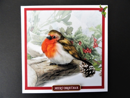 Snowy Robin 7x7 Quick Card by Valerie Spowart
