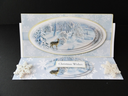 Winter Scene DL 15 by Valerie Spowart