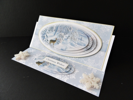 Winter Scene DL 15 by Valerie Spowart