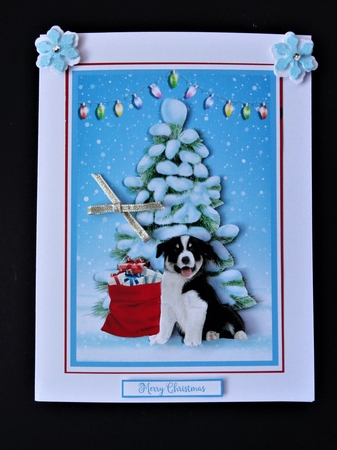 CHRISTMAS COLLIE 5X7 by Valerie Spowart