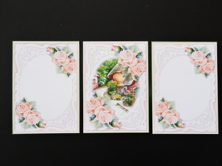 Lace and Roses 13 by Valerie Spowart