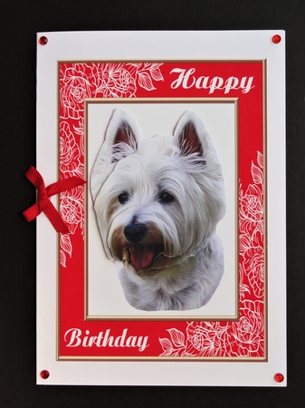 Happy Birthday dog  by Valerie Spowart