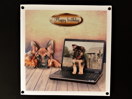 my boy by Valerie Spowart