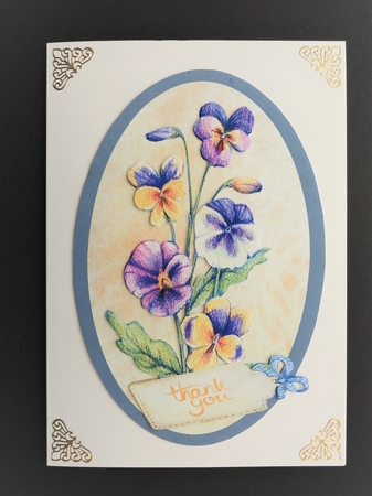 Thankyou  Pansies by Valerie Spowart