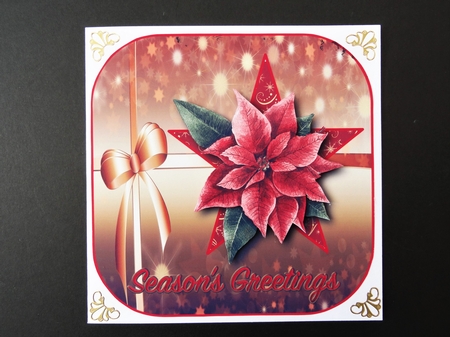Poinsettia by Valerie Spowart