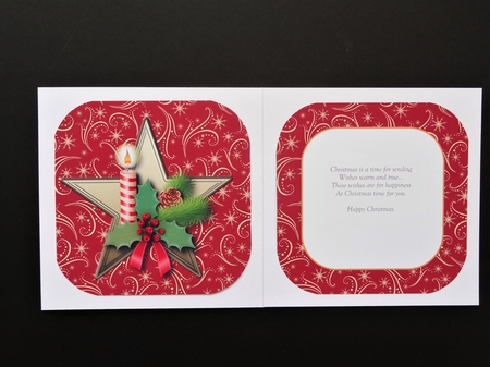 Poinsettia by Valerie Spowart
