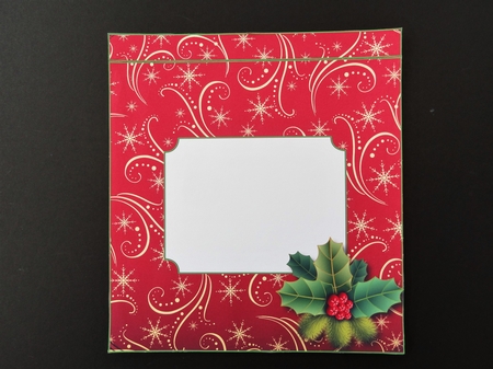 Poinsettia by Valerie Spowart