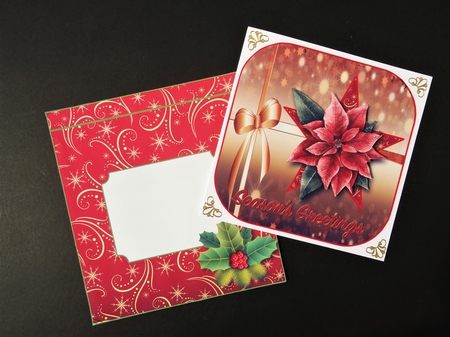 Poinsettia by Valerie Spowart