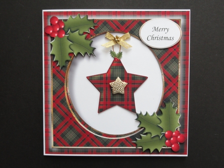 Tartan Christmas Star 1 by Valerie Spowart