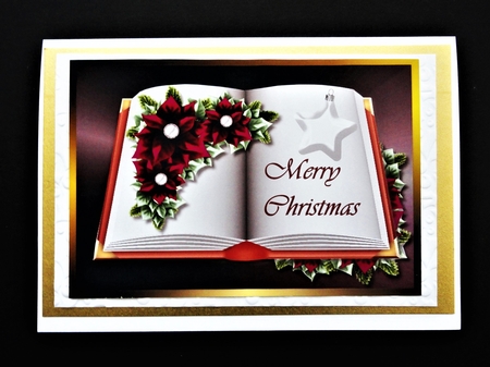 Book Christmas Purple poinsettias by Valerie Spowart