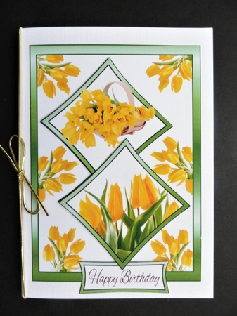 Two squares Yellow tulips by Valerie Spowart