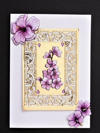 Pretty Hibiscus A by Valerie Spowart