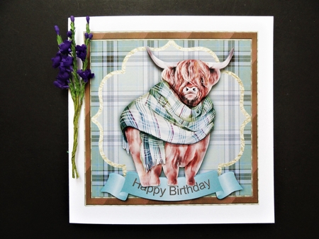 Highland Cow - suitable for both male and female.  by Valerie Spowart