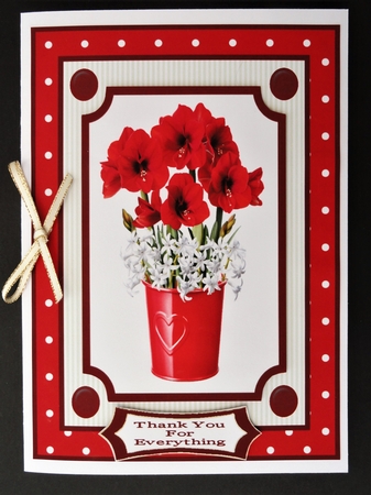 Pretty Red And White Flowers  by Valerie Spowart