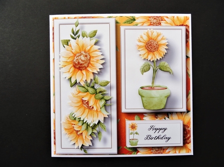 Sunflower Gardening - Pot Plant by Valerie Spowart