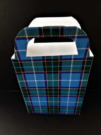 Tartan gift bag 11 by Valerie Spowart