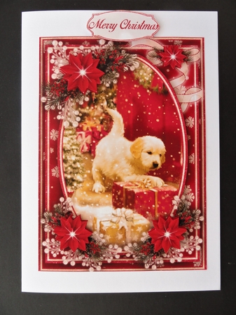 Dogs Christmas 5X7 Bumper Kit #1  by Valerie Spowart