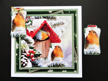 Winter Robins 2 Mini Kit #4   by Valerie Spowart