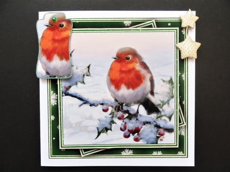 Winter Robins 2 Mini Kit #6   by Valerie Spowart