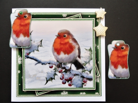 Winter Robins 2 Mini Kit #6   by Valerie Spowart