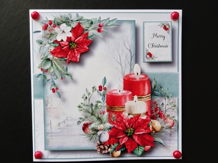 Gorgeous Red Poinsettia Bumper Kit by Valerie Spowart